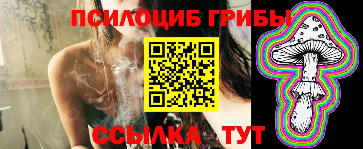Псилоцибиновые грибы прущие грибы Ирбит